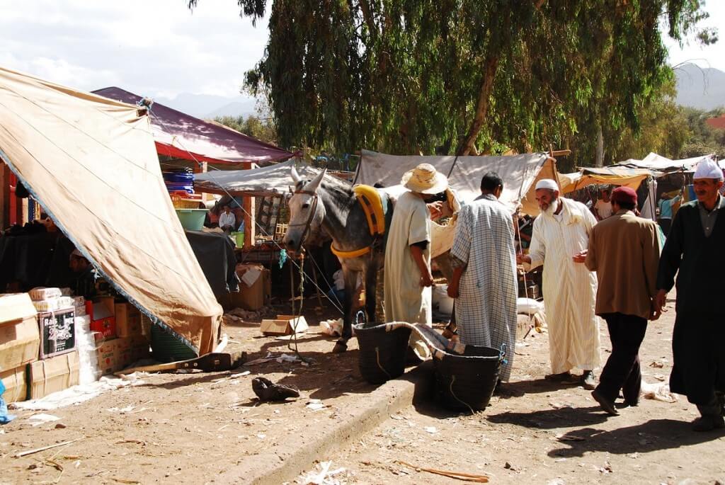Mit dem Riad La Maison Nomade zum Berber-Markt in Tameslouth