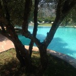 Ein Schwimmbad in den Bergen unter Olivenbäumen