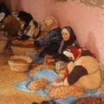 Marokkanerinnen bei der Arganöl- Herstellung