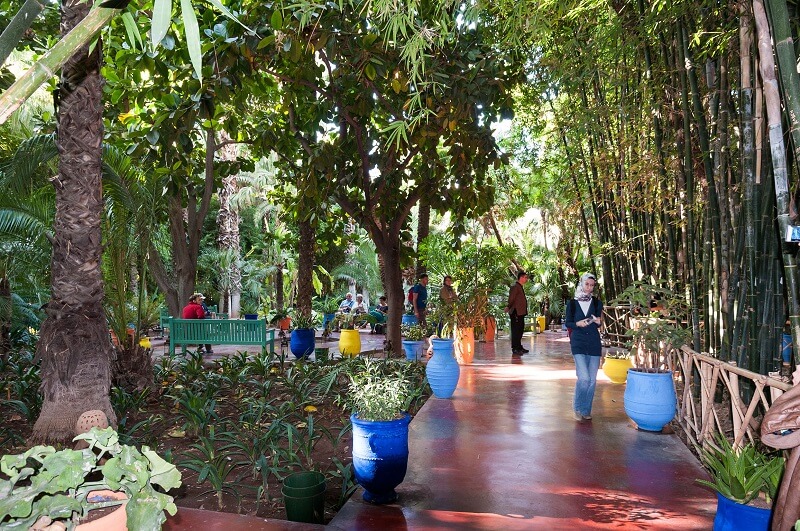Detailansicht des Garten Majorelle in Marrakesch