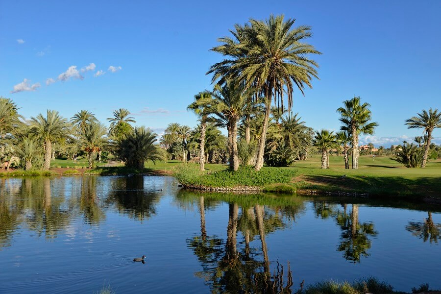 Golf spielen in Marrakesch im Amelkis