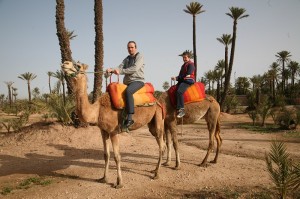Wüstenähnliches Feeling in der Palmeraie von Marrakesch