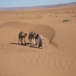 Mehrtagesausflug durch die Wüste Erg Chegaga