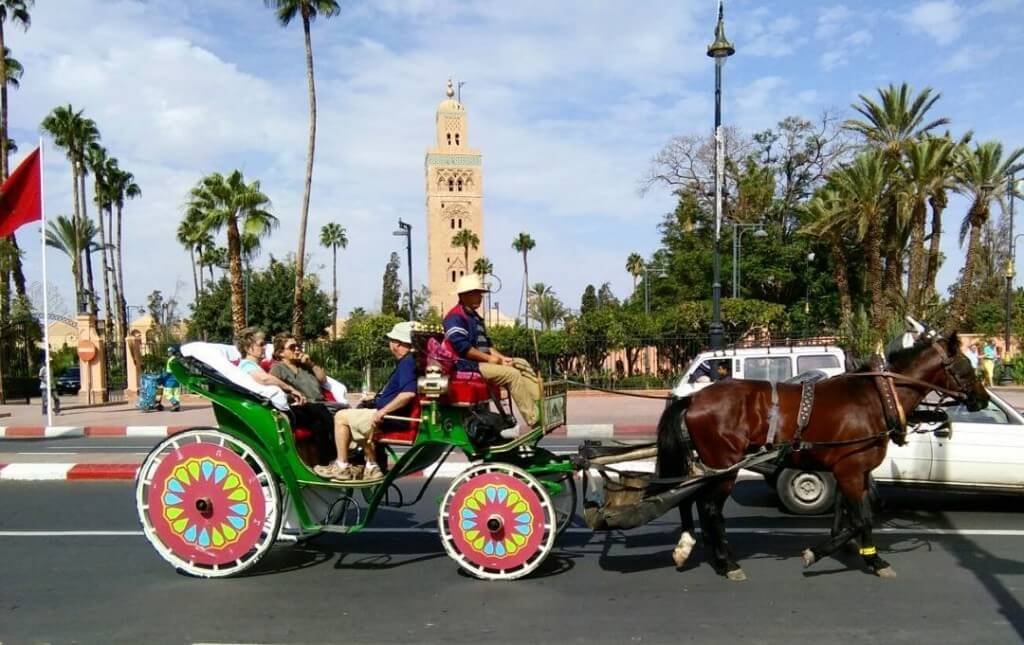 Tourismus in Marokko - die pferdekutschen in Marrakesch 